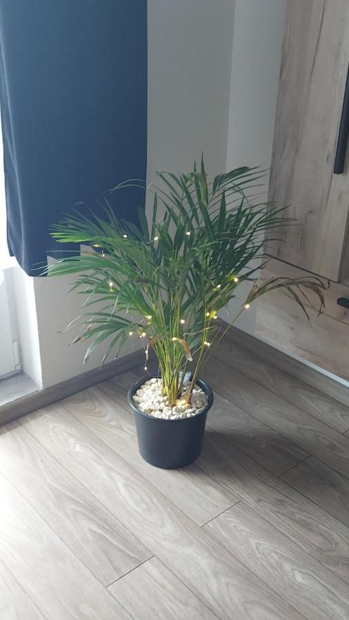 Apartament Antonias Făgăraş Esterno foto