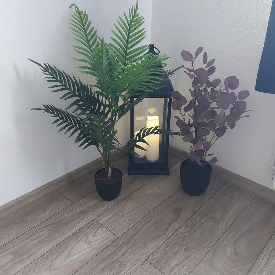 Apartament Antonias Făgăraş Esterno foto